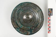 Foto von Bronzephalere (NHMW-PRAE-026092)